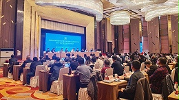 中国特种设备检验协会安全附件和仪表检验工作委员会成立大会