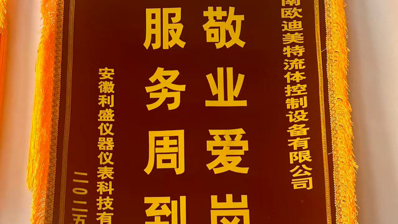 安徽利盛仪器仪表科技有限公司向我司赠予锦旗！